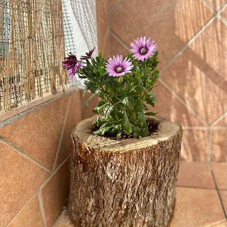 Apartamento ático